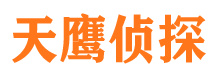 振兴寻人公司